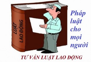 Tư vấn pháp luật lao động